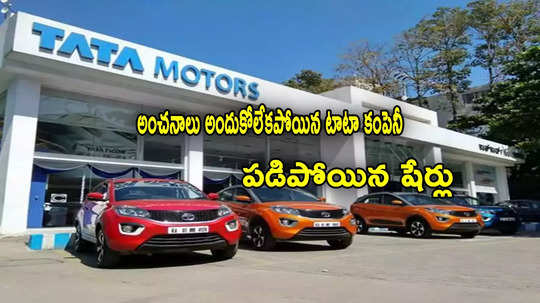 Tata Group: నిరాశపరిచిన టాటా కంపెనీ.. లాభంలో 22 శాతం క్షీణత.. ఒక్కరోజే 9 శాతం పడిపోయిన షేర్లు!