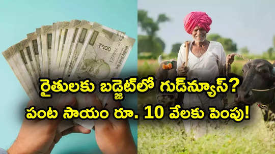 PM Kisan: బడ్జెట్‌లో రైతులకు గుడ్‌న్యూస్.. పీఎం కిసాన్ పంట సాయం రూ. 10 వేలకు పెంపు? ఈసారైనా..