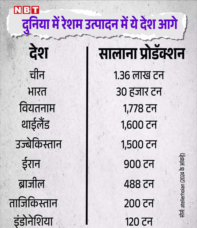 Nirmala Sitharaman Budget 2025 Silk Production