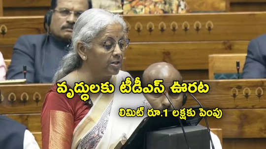 TDS Limit: సీనియర్లకు అదిరే శుభవార్త.. పన్ను మినహాయింపు రూ.1 లక్షకు పెంపు