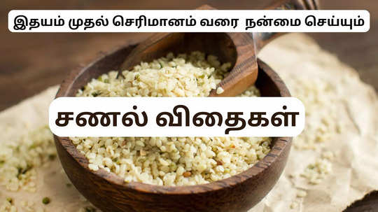 தினம் ஒரு டீஸ்பூன் சணல் விதை சாப்பிடுவதால்  உடலுக்குள் கிடைக்கும்  8 அற்புத நன்மைகள்! எப்படி சாப்பிடணும்?