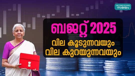 ബജറ്റ് 2025: വില കൂടുന്നവയും വില കുറയുന്നവയും ഏതൊക്കെ? വിശദമായി അറിയാം