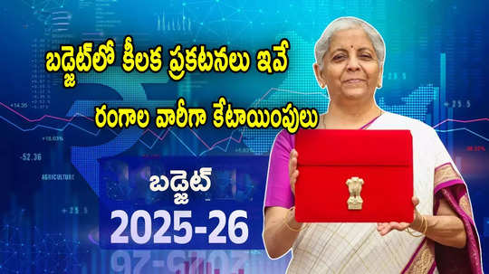 Budget 2025 Highlights: ఇన్‌కమ్ ట్యాక్స్ నుంచి బీమా వరకు.. బడ్జెట్‌లో కీలక ప్రకటనలు ఇవే!