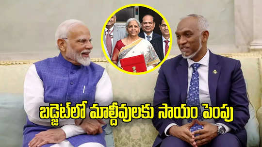 Budget Allocations: బడ్జెట్‌లో ఏ దేశానికి ఎంత.. మాల్దీవులకు ఆర్థిక సాయం పెంపు, ఏ ఏ దేశాలు ఉన్నాయంటే?