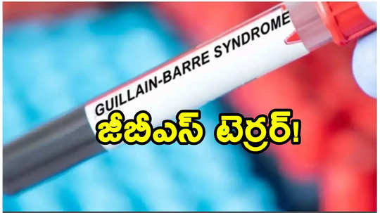 మహారాష్ట్రలో ‘జీబీఎస్’ డేంజర్ బెల్స్ ఐదుగురు మృతి.. 163కు చేరిన బాధితులు