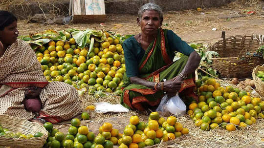 அமைப்பு சாரா தொழிலாளர்களுக்கான வெப்சைட்.. 30 கோடிப் பேர் பதிவு!