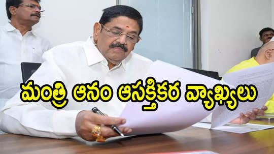 ఏపీలో ఆలయాల పవిత్రతను కాపాడతాం.. ఎంత ఖర్చైనా పర్లేదు ఆ రంగుల్ని తొలగిస్తాం: మంత్రి కీలక వ్యాఖ్యలు