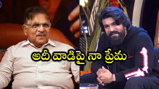 Allu Vs Mega: నా అల్లుడికి పెద్ద హిట్ ఇవ్వాలనే అలా చేశా.. రామ్ చరణ్‌పై అల్లు అరవింద్