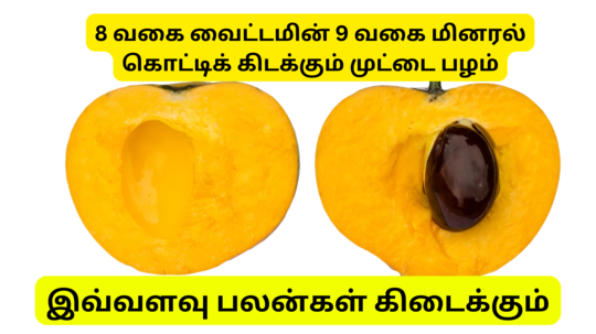 8 வகை வைட்டமினும் 9 வகை தாதுக்களும் கொட்டிக்கிடக்கும் முட்டைப்பழம் - சாப்பிட்டால் கிடைக்கும் நன்மைகள் இதோ