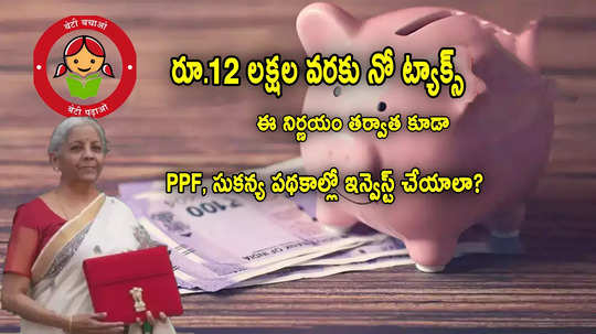 బడ్జెట్ తర్వాత కూడా.. PPF, సుకన్య వంటి పథకాల్లో పెట్టుబడి పెట్టాలా? నిపుణులు ఏమంటున్నారు?