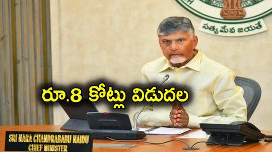 Chandrababu: ఏపీలో వారందరికీ గుడ్‌న్యూస్.. రూ.8 కోట్లు విడుదల చేసిన ప్రభుత్వం