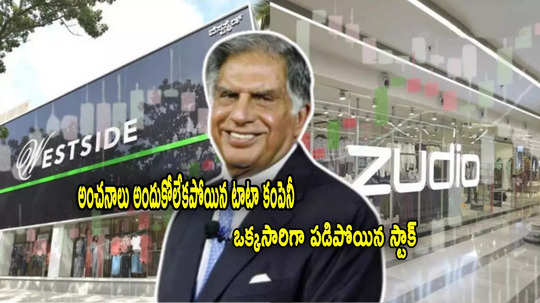 Tata Group: క్యూ3లో 'టాటా కంపెనీ' అంచనాలు మిస్.. ఒక్కరోజే 10 శాతం పడిన స్టాక్!