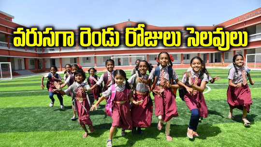 School Holidays: స్కూళ్లకు వరుసగా 2 రోజులు సెలవులు.. ఆ జిల్లాల్లో విద్యార్థులకు ఎంజాయ్ పండగో!