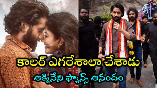 Naga Chaitanya Thandel: కింగ్ కొడుకు కింగ్‌యే.. తండేల్‌‌ నెగెటివ్ రివ్యూపై ఫ్యాన్ ఫైర్