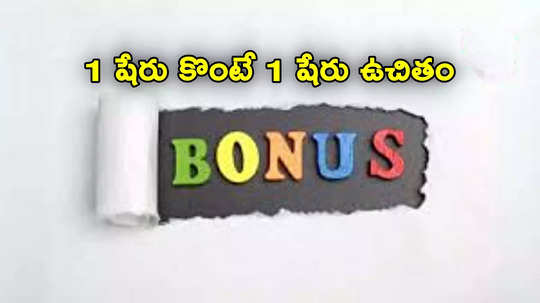 Bonus Shares: లక్ష పెడితే రూ.10 లక్షలు.. ఇప్పుడు 1 షేరుకు 1 షేరు ఉచితం.. కంపెనీ ప్రకటన