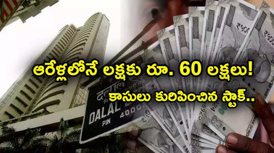 AI Stock: మల్టీబ్యాగర్ స్టాక్.. రూ. లక్షకు 60 లక్షలొచ్చాయ్.. ఓపికతో ఆరేళ్లలోనే అద్భుత లాభాలు!