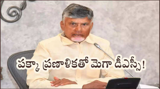 Chandrababu Naidu : మార్చిలో మెగా డీఎస్సీ నోటిఫికేషన్‌? సీఎం చంద్రబాబు నాయుడు ఆలోచన ఇదే!