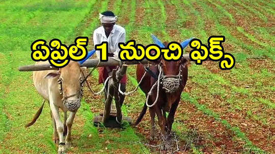 ఏపీలో రైతులకు సూపర్ న్యూస్.. ఏప్రిల్‌కు పక్కా, ఉచితంగానే.. కీలక ప్రకటన