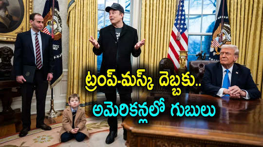 Donald Trump: ఎలాన్ మస్క్ చేతికి మరిన్ని అధికారులు.. అమెరికన్లలో తీవ్ర భయాందోళనలు