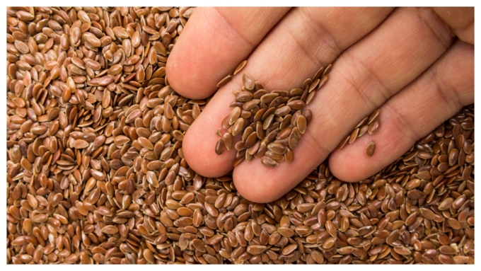 flax seeds in hand istock edit 