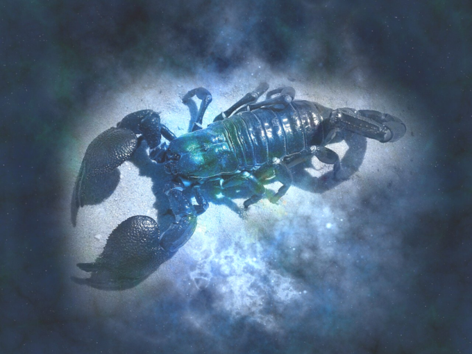 ​વૃશ્ચિક (Scorpio)