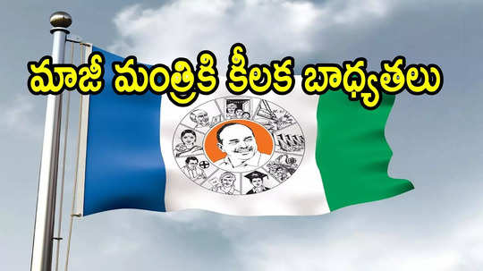 వైఎస్ జగన్ సరికొత్త స్ట్రాటజీ.. మాజీ మంత్రికి ప్రమోషన్, విజయసాయిరెడ్డి స్థానంలో