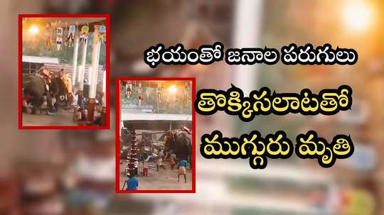 ఆలయ ఉత్సవాల్లో ఏనుగుల బీభత్సం.. జనాలను ఎత్తిపడేస్తుండగా ముగ్గురి మృతి.. వీడియో వైరల్!