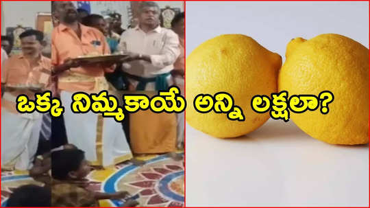 తొక్కలో నిమ్మకాయ అక్షరాలా రూ.6 లక్షలు.. ఏంటబ్బా అంత స్పెషల్!