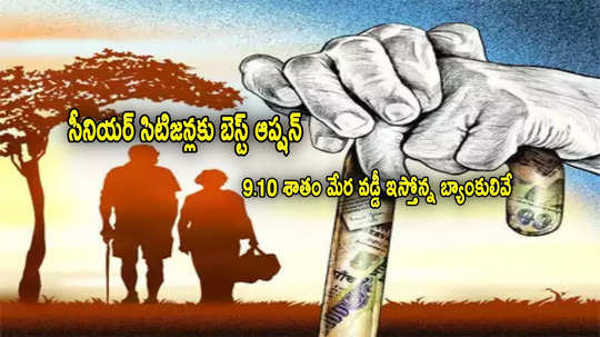 FD Rates: సీనియర్లకు మంచి ఆప్షన్.. ఈ బ్యాంకుల్లో 9.10 శాతం వడ్డీ.. 5 లక్షలకు ఎంతొస్తుంది?