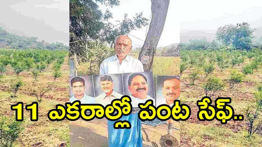 అనంతపురం రైతు ఆనందం.. పొలంలో చంద్రబాబు, ఏపీ మంత్రి ఫోటోలు.. కారణం ఏంటంటే!