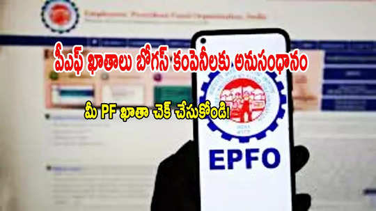 PF ఖాతాలు బోగస్ కంపెనీలకు లింక్.. వెంటనే ఇలా చేయండి!