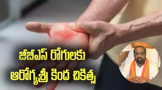 GBS Cases: జీబీఎస్ ఇంజెక్షన్ ఎంత ఖరీదంటే..? వివరాలు చెప్పిన ఆరోగ్య మంత్రి