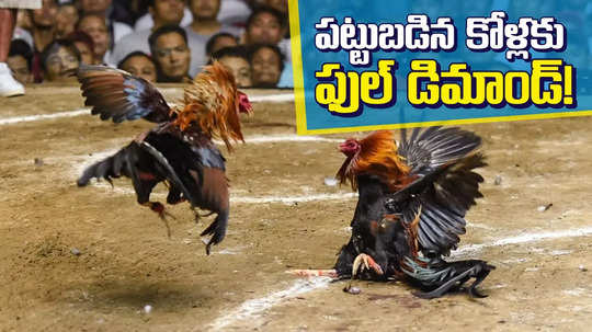 మొయినాబాద్ ఫాంహౌస్ కేసులో ఇంట్రెస్టింగ్ సీన్.. జడ్జి ముందే పందెం కోళ్ల వేలం, ఫుల్ డిమాండ్..!