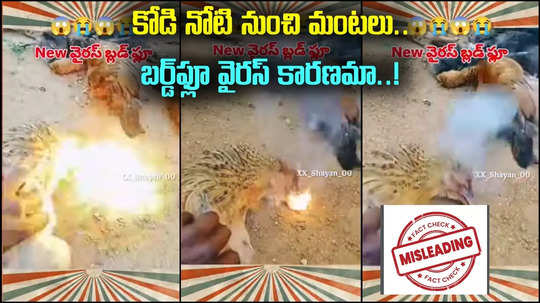 AP: కోడి నోటి నుంచి మంటలు.. బర్డ్‌ఫ్లూ వైరస్ కారణమా..! ఇందులో నిజమెంత?