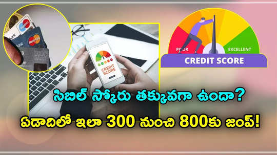 Credit Score: సిబిల్ స్కోరు తక్కువగా ఉందా? ఏడాదిలో 300 నుంచి 800 కు ఎలా పెంచుకోవాలో తెలుసా?