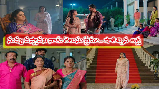 Illu Illalu Pillalu: పుట్టింటికి ప్రేమ.. పంతం నెగ్గించుకున్న భద్రవతి.. సూపర్ ట్విస్ట్