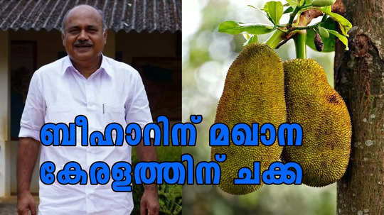 കേരളത്തിൽ 'ചക്ക ബോർഡ്' അനുവദിക്കണം; 100 കോടി ലഭ്യമാക്കണമെന്ന് ഫ്രാൻസിസ് ജോർജ് എംപി