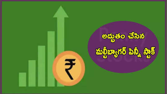 Penny Stock: అద్భుతం చేసిన స్టాక్.. రూ.4 నుంచి రూ.1180కి ధర.. 5 ఏళ్లకే లక్షకు రూ.2 కోట్లొచ్చాయ్!