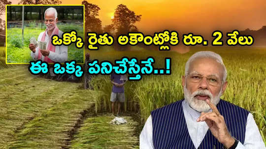 19th Installment: ఒక్కో రైతు అకౌంట్లోకి రూ. 2 వేలు.. ఈ ఒక్క పనిచేస్తేనే మరో 3 రోజుల్లో డబ్బులు జమ.. డేట్ ఫిక్స్!