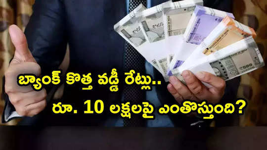 FD Rates: ఈ బ్యాంకులో కొత్త వడ్డీ రేట్లు.. ఏకంగా 8.75 శాతం వరకు వడ్డీ.. 10 లక్షలు జమ చేస్తే ఎంతొస్తుంది?