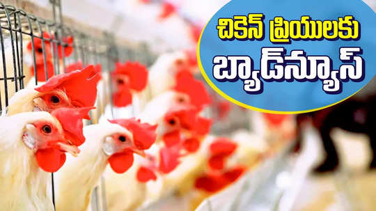 Adilabad: మాంస ప్రియులకు మరో బ్యాడ్ న్యూస్.. చికెన్ వ్యాపారుల కఠిన నిర్ణయం.. ఇక కష్టమే..!