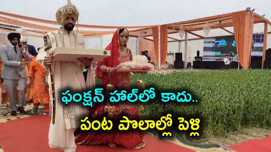 Wedding: పంట పొలాల్లో ఎన్నారై జంట పెళ్లి.. పెద్ద కారణమే ఉంది, అసలు విషయం ఏంటంటే?