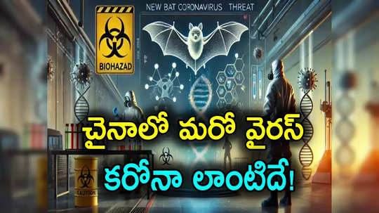 China New Virus: చైనాలో మరో మహమ్మారి.. గబ్బిలాల్లో కరోనా లాంటి వైరస్ గుర్తింపు