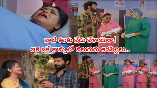 Gunde Ninda Gudi Gantalu Promo:  ముళ్ళకంప జోరు.. పూలగంప హుషారు.. ‘ఐ లవ్యూ శ్రీవారు’.. ఆర్థిక కష్టాలన్నీ హాంఫట్!