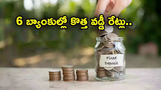 Bank Deposits: ఫిబ్రవరిలో వడ్డీ రేట్లను మార్చేసిన 6 బ్యాంకులు.. అత్యధికంగా 9.10 శాతం.. ఫుల్ లిస్ట్ ఇదే..