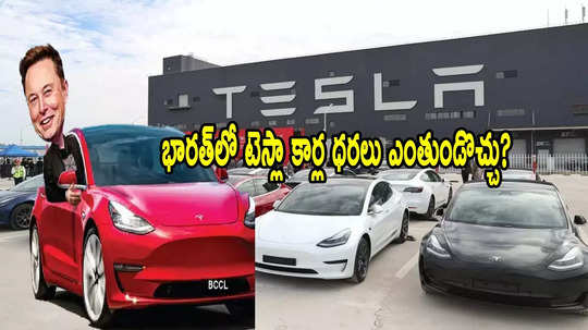 Tesla: భారత్‌లో టెస్లా కార్లు.. ధరలు ఇవే.. దేశీయ కంపెనీలకు పోటీ తప్పదా?