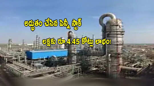 Multibagger: అద్భుతం చేసిన పెన్నీ స్టాక్.. రూ.1 లక్షకు రూ.4.45 కోట్లొచ్చాయ్.. ఎన్నేళ్లు పట్టిందంటే?