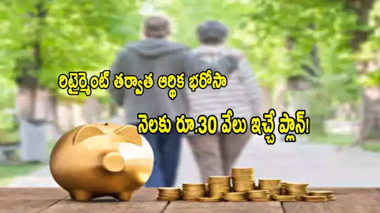 Investment: నా వయసు 60.. నెల నెలా రూ.30 వేలు రావాలంటే.. ఈక్విటీల్లో ఎంత ఇన్వెస్ట్ చేయాలి?