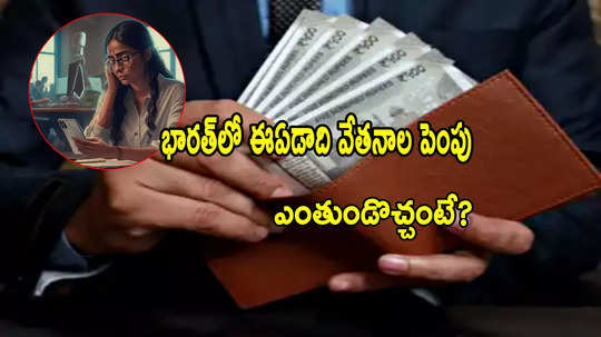 Salary Hike: ప్రైవేట్ ఉద్యోగులకు నిరాశే.. వేతనాల పెంపుపై కీలక రిపోర్ట్.. ఈ ఏడాది హైక్ ఎంతుండొచ్చంటే?