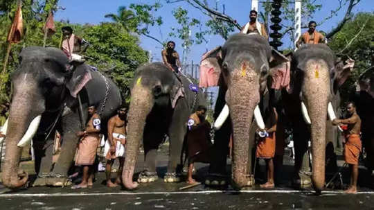 ചരിത്രപ്രസിദ്ധമായ ഗുരുവായൂർ ആനയോട്ടം; ഇത്തവണ കുറച്ച് മാറ്റങ്ങളുണ്ട്, തീയതിയും സമയവുമറിയാം